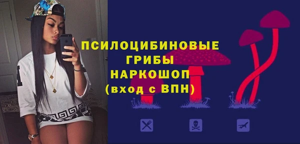 прущая мука Алзамай