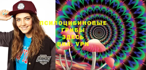 прущая мука Алзамай