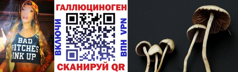 Псилоцибиновые грибы GOLDEN TEACHER  Спасск-Рязанский 